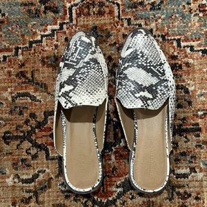 Madden Girl snakeskin shoes